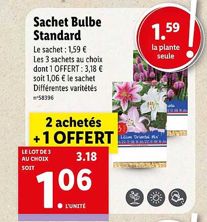 sachet bulbe standard