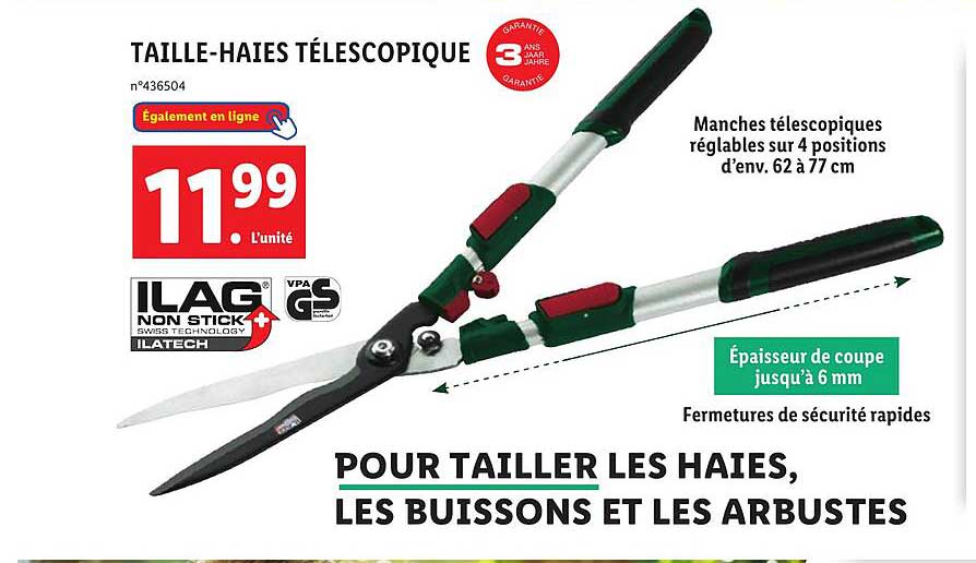 taille-haies télescopique ilag