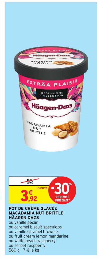 pot de crème glacée macadamia nut brittle häagen dazs