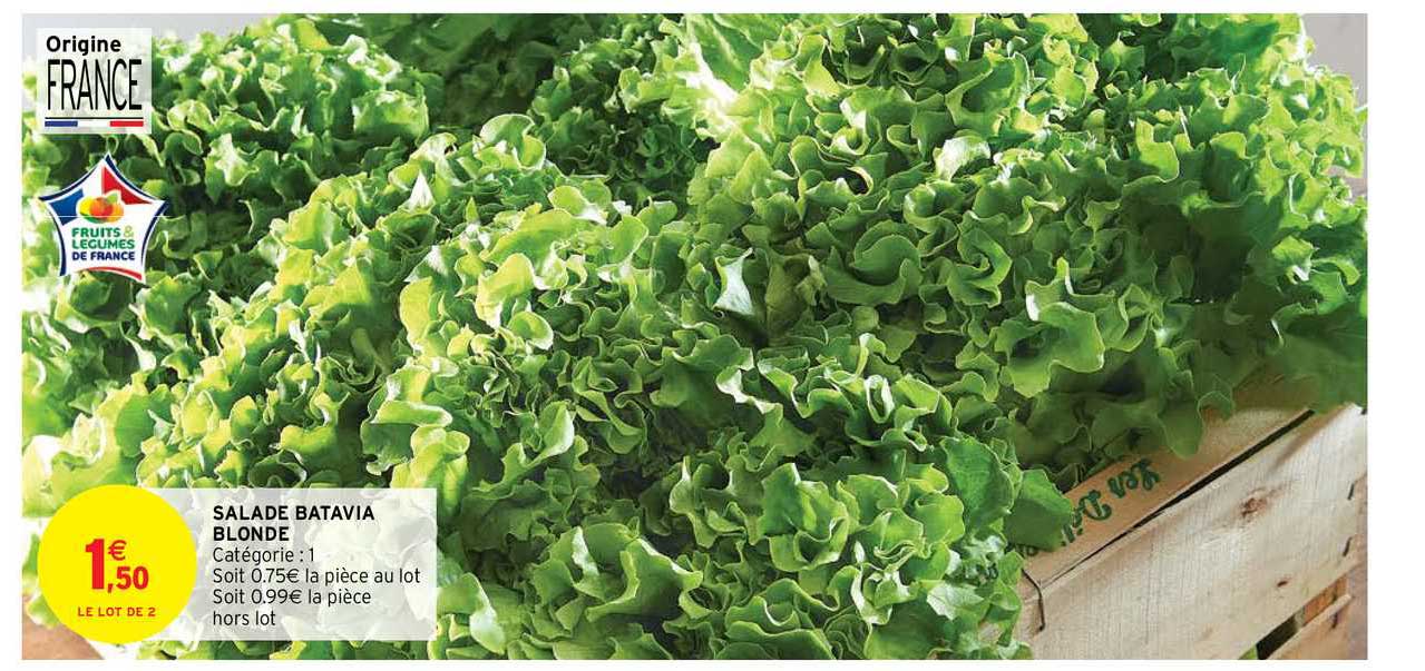 Salade Batavia Blonde