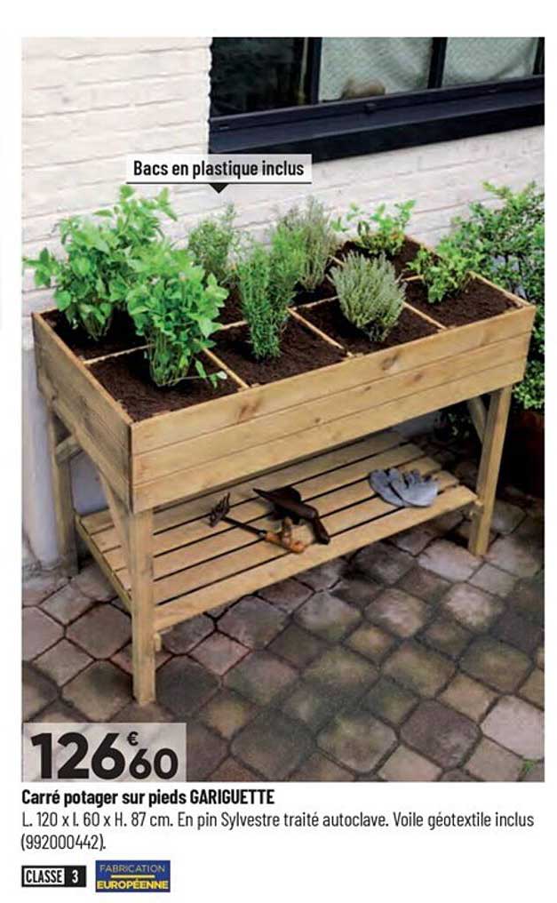 carré potager sur pieds gariguette