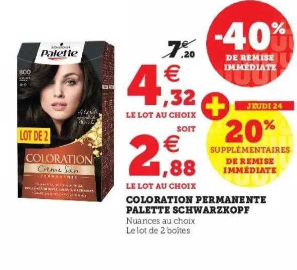 Coloration Permanente Palette Schwarzkopf