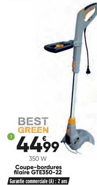 Coupe-bordures Filaire Gte350-22 Bestgreen