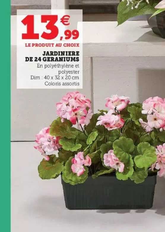 Jardinière De 24 Géraniums