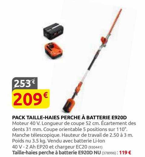 pack taille-haies perche à batterie e920d