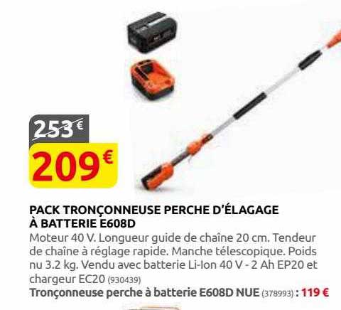 Pack Tronçonneuse Perche D'élagage à Batterie E608d