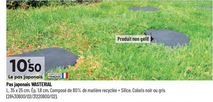 pas japonais wasterial
