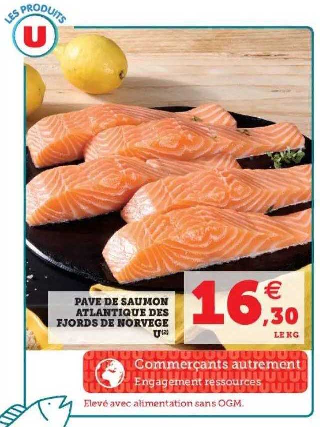Pavé De Saumon Atlantique Des Fjord De Norvège U