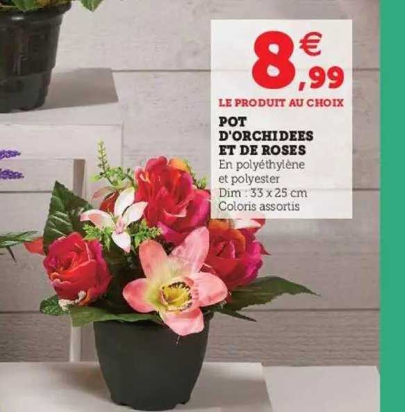 pot d'orchidées et de roses