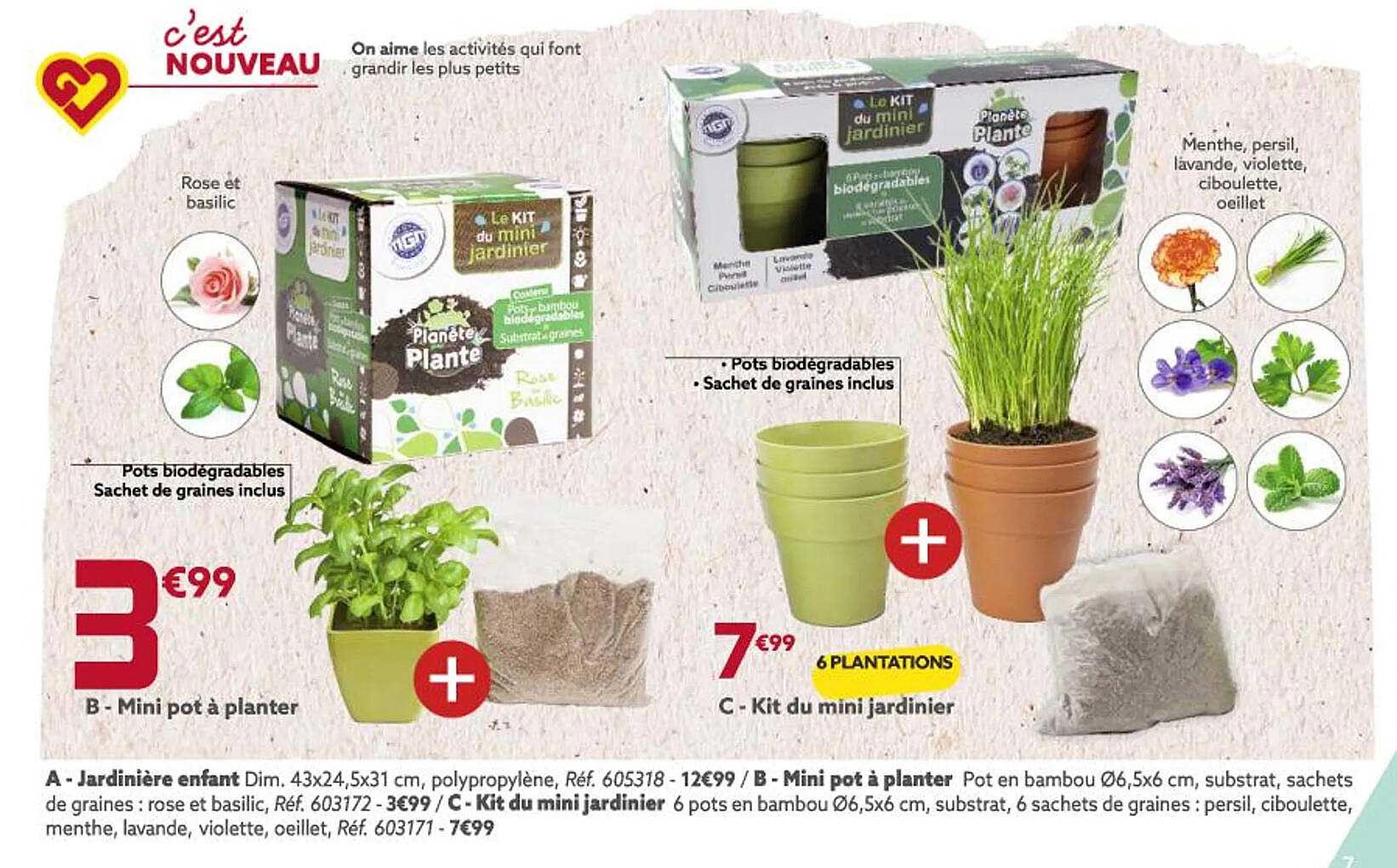 mini pot à planter, kit du mini jardinier