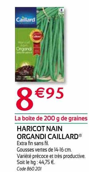 haricot nain organdi caillard