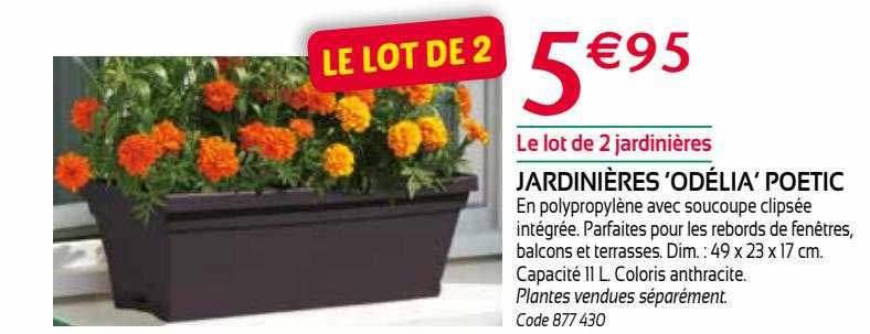 jardinières 'odélia' poetic