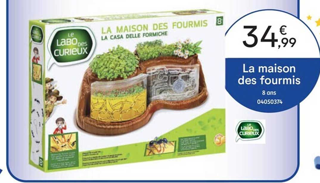 la maison des fourmis le labo des curieux