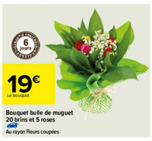 bouquet bulle de muguet 20 brins et 5 roses