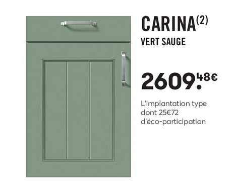carina vert sauge