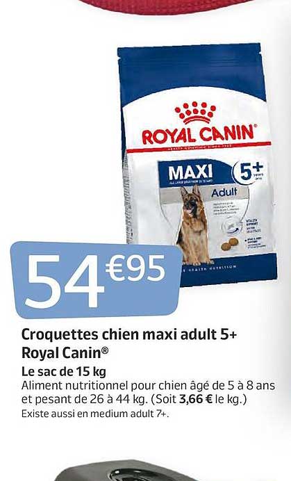 croquettes chien maxi adult 5+ royal canin
