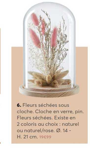 fleurs séchées sous cloche