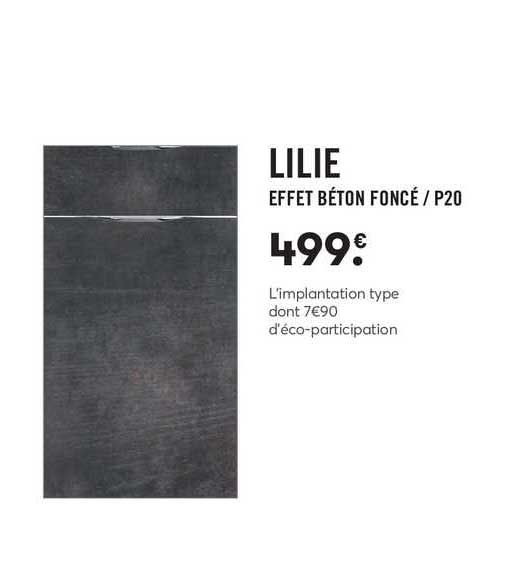 lilie effet béton foncé - p20