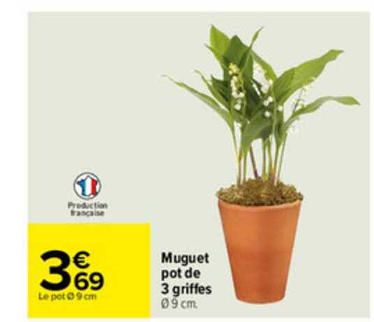 muguet pot de 3 griffes