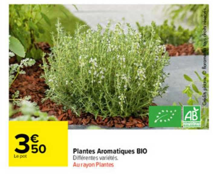 Plantes Aromatiques Bio