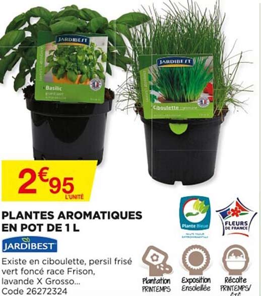 plantes aromatiques en pot de 1 l jardibest