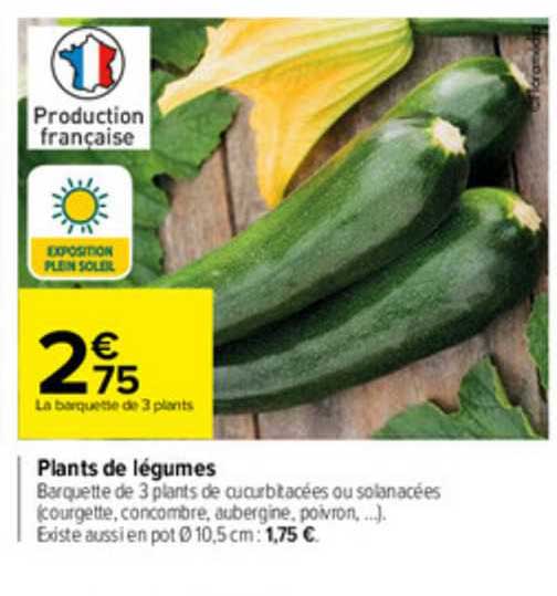 plants de légumes