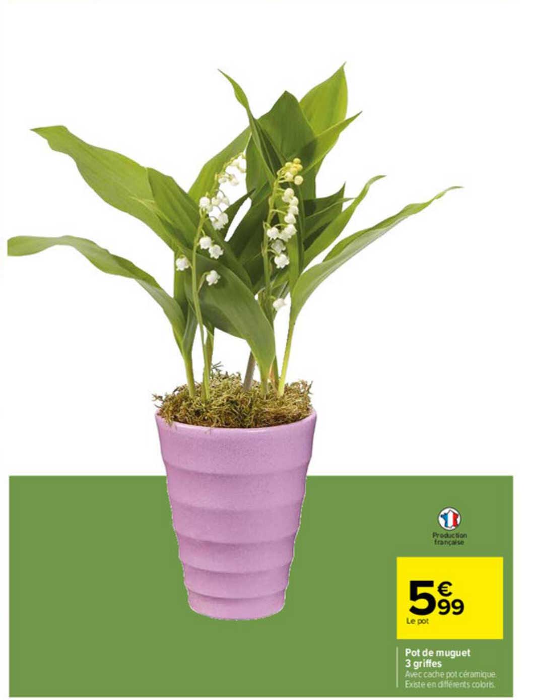 pot de muguet 3 griffes