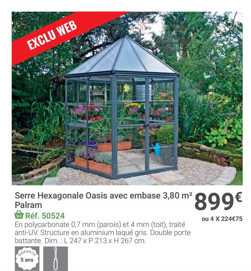 serre hexagonale oasis avec embase 3,8 m²