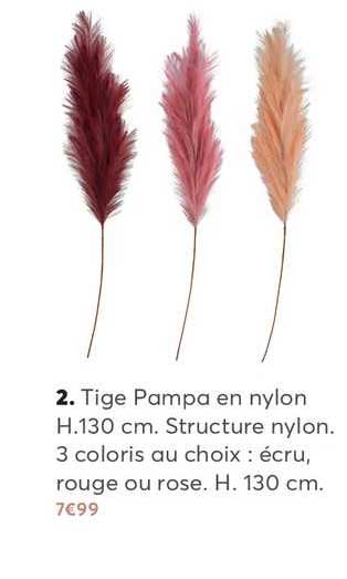 tige pampa en nylon h.130 cm