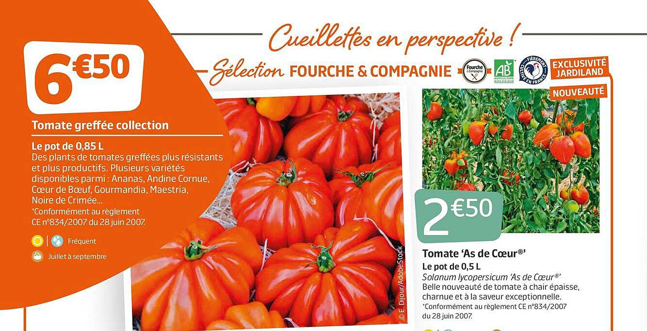 tomate greffée collection, tomate "as de cœur"