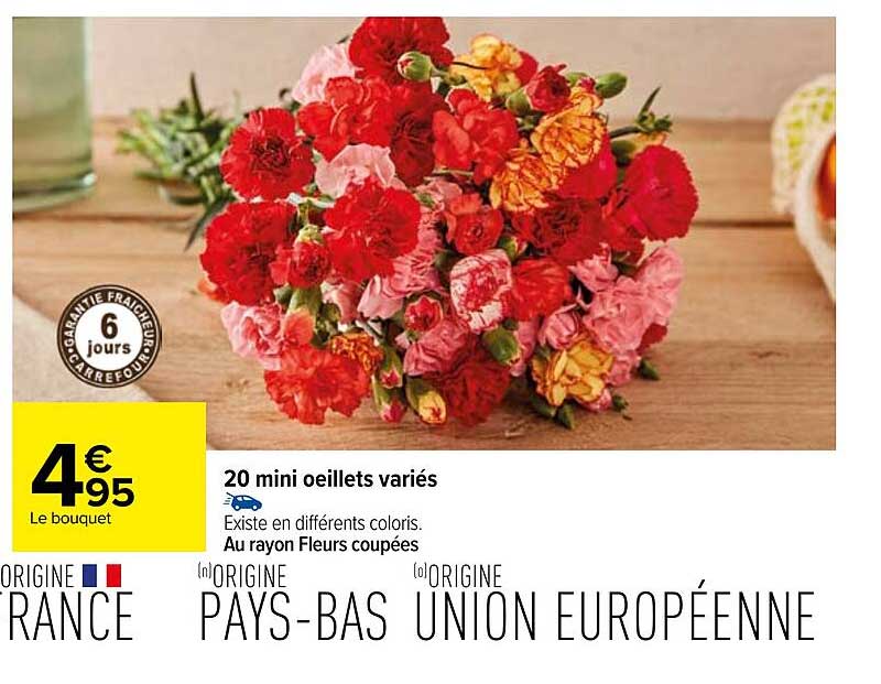 20 mini œillets variés