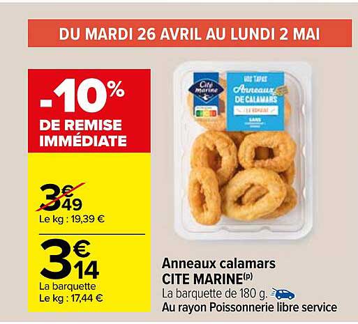 anneaux calamars cité marine