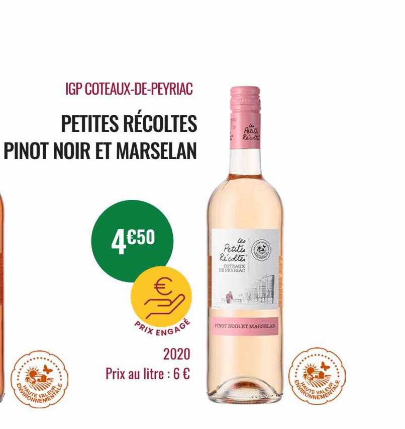 igp coteaux-de-peyriac petites récoltes pinot noir et marselan