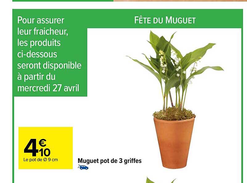 muguet pot de 3 griffes