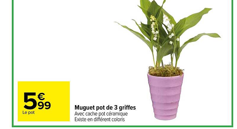 muguet pot de 3 griffes