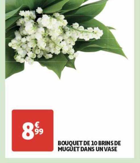 bouquet de 10 brins de muguet dans un vase