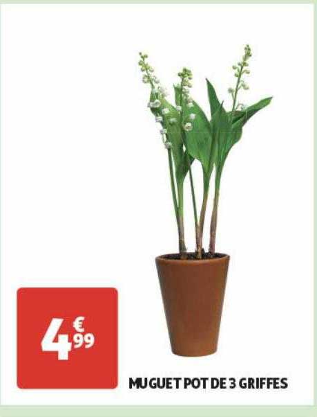 muguet pot de 3 griffes