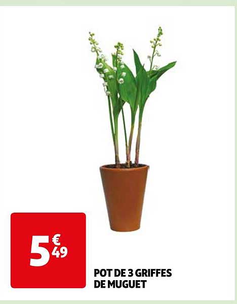 pot de 3 griffes de muguet