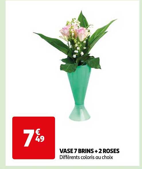 vase 7 brins + 2 roses