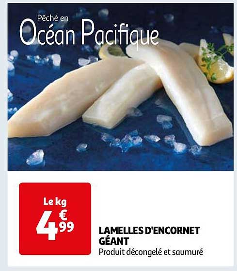 lamelles d'encornet géant