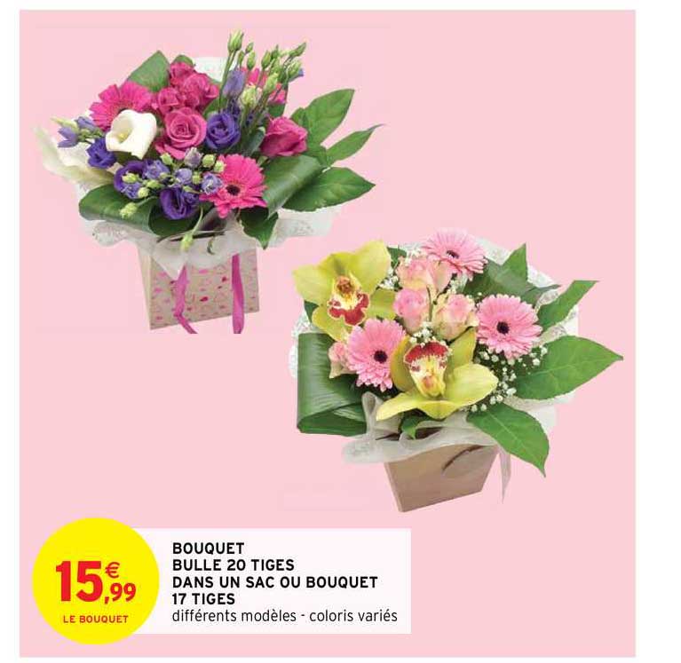 bouquet bulle 20 tiges dans un sac ou bouquet 17 tiges