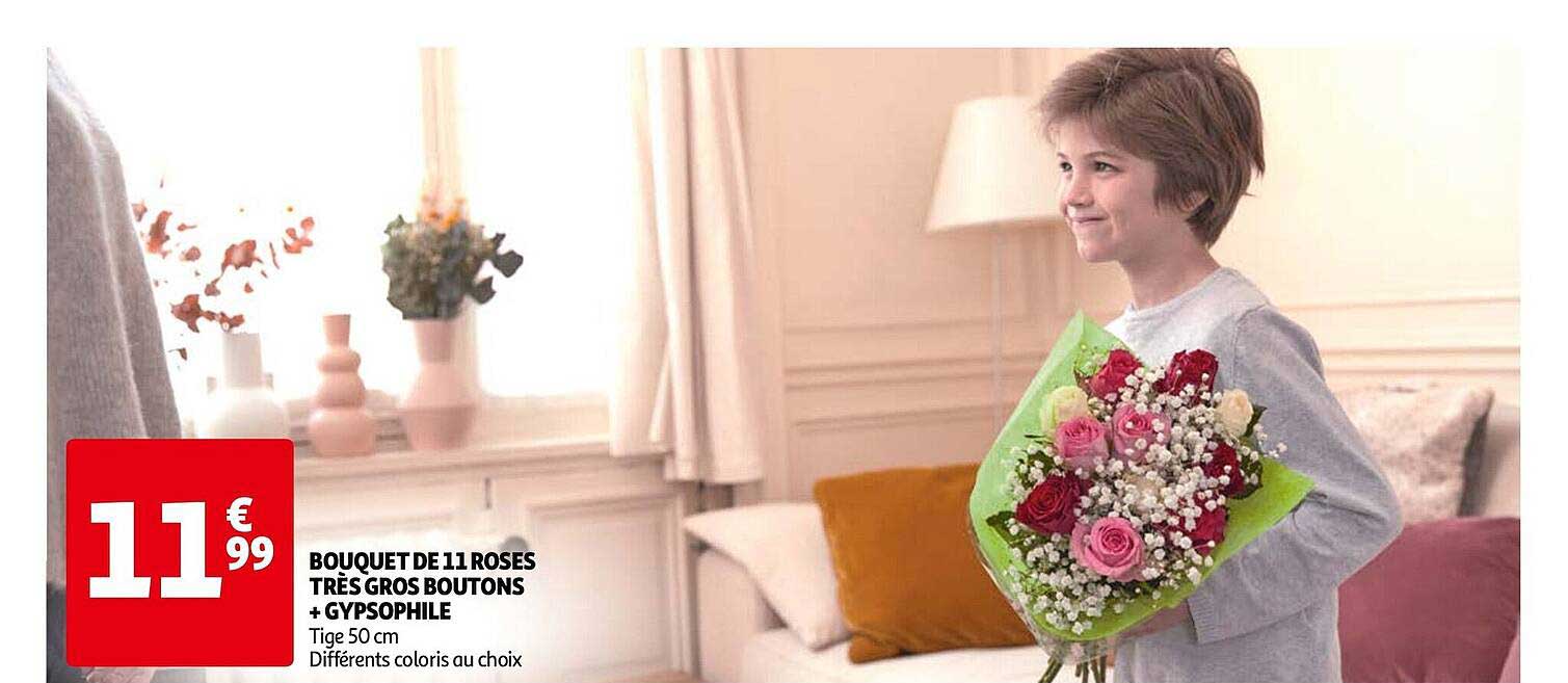 bouquet de 11 roses très gros boutons + gypsophile