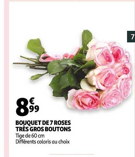 bouquet de 7 roses très gros boutons