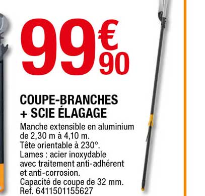 coupe-branches + scie élagage