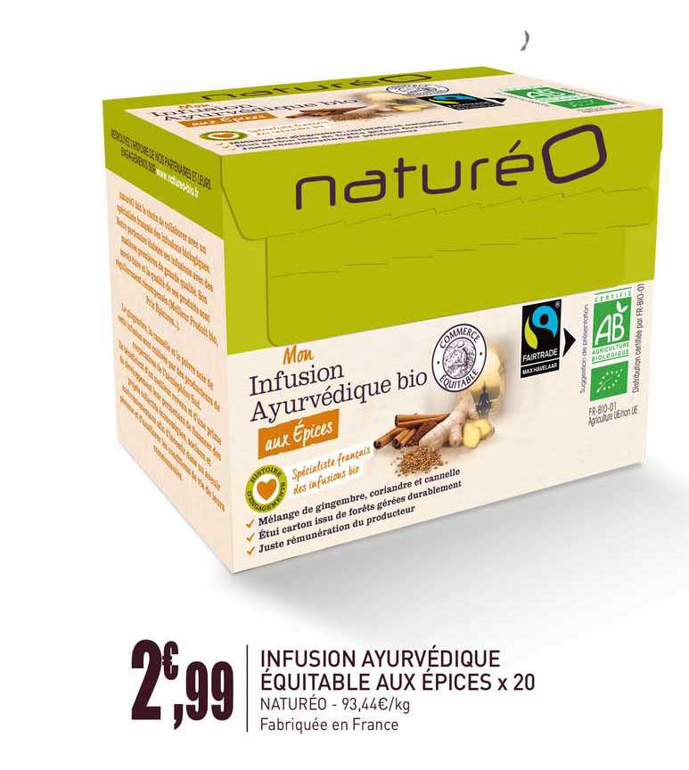 infusion ayurvédique équitable aux épices x20