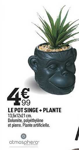 Le Pot Singe + Plante Atmosphera