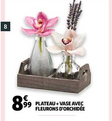 plateau + vase avec fleurons d'orchidée