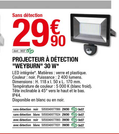projecteur à détection "weyburn" 30 w