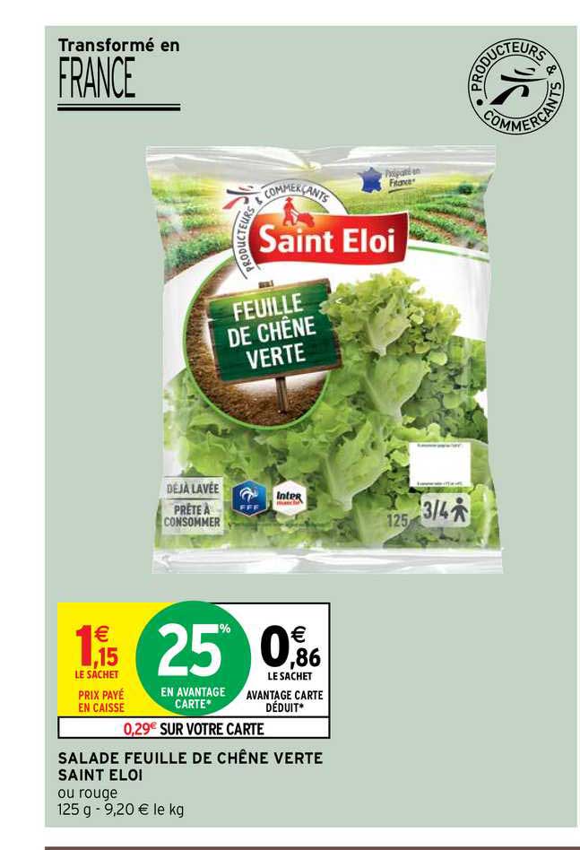 salade feuille de chêne verte saint éloi