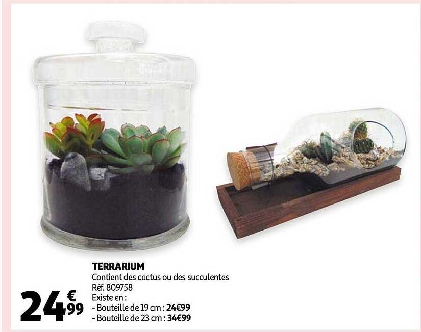 Terrarium
